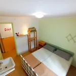 Hostel Rifugio La Capanna *
