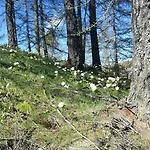 Rifugio La Capanna Claviere