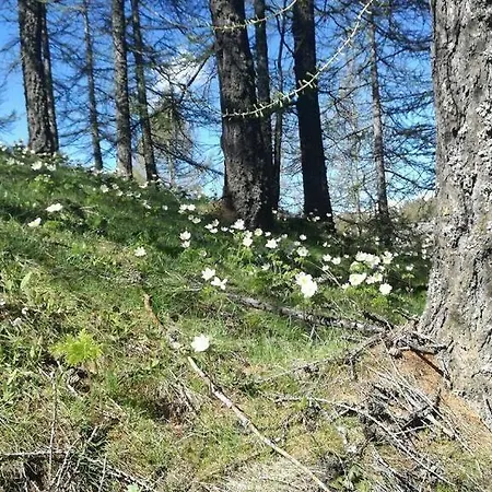 Rifugio La Capanna Claviere